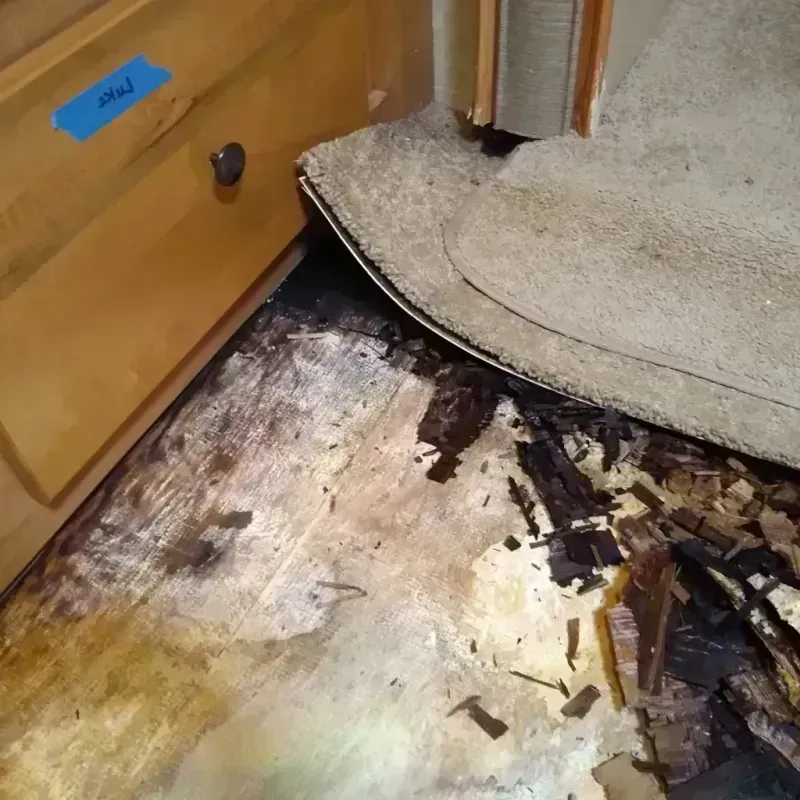 Best Wood Floor Water Damage Service in Richton Park, IL